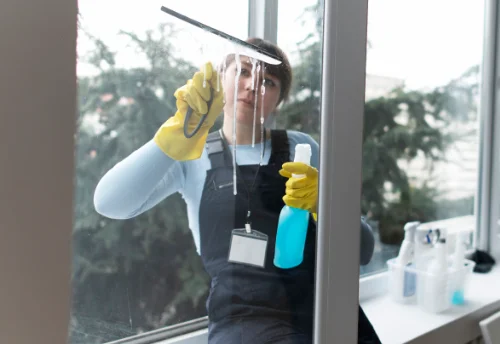 Nettoyage de vitres intérieures et extérieures à Lizeray